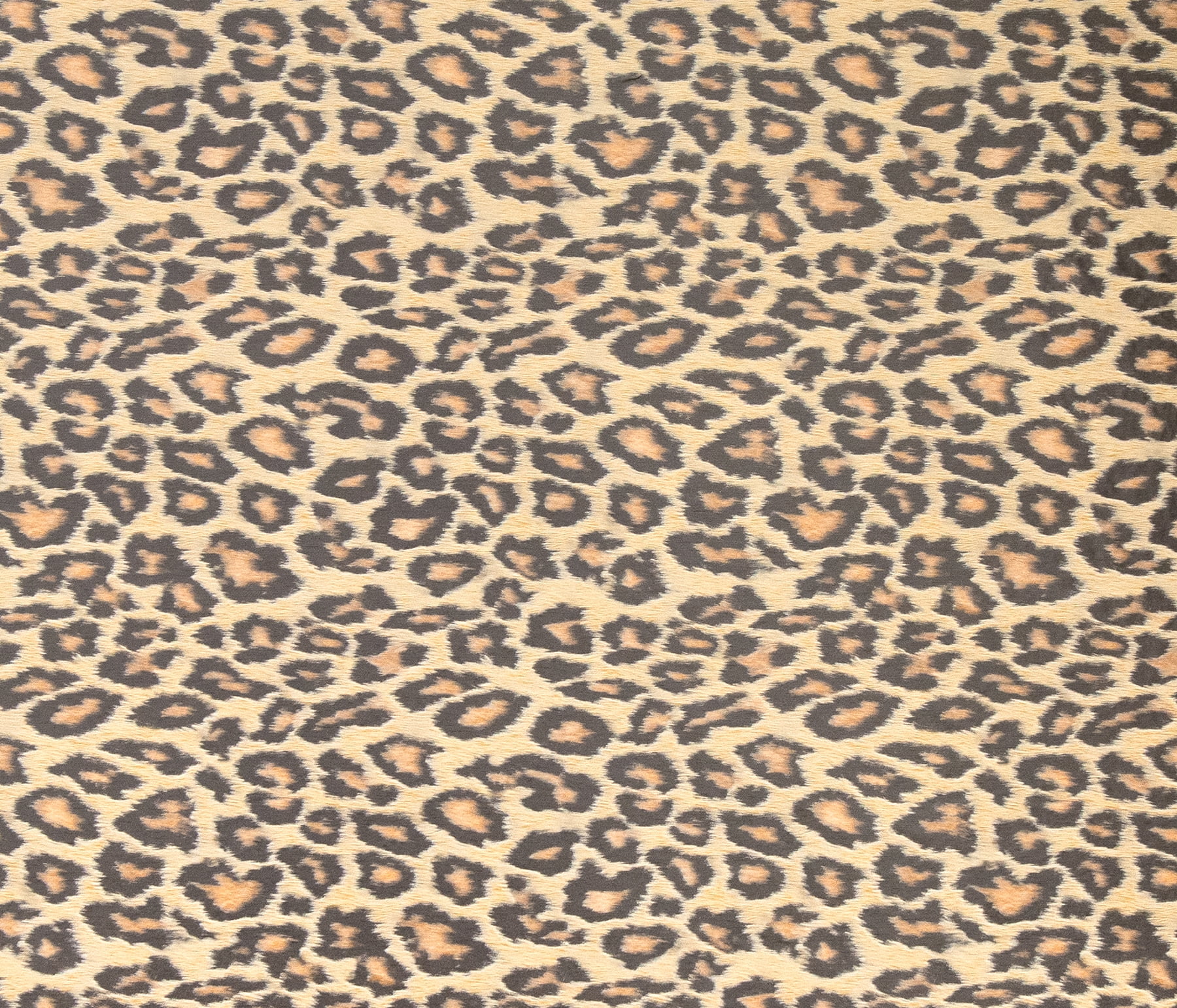 Leopard Print Neutral Vinyl Adhesive Film Set