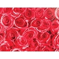 thumbnail image 1 of Fablon Roses Wall Decals 2 Pack, 1 of 3