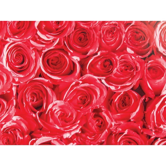 Fablon Roses Wall Decals 2 Pack