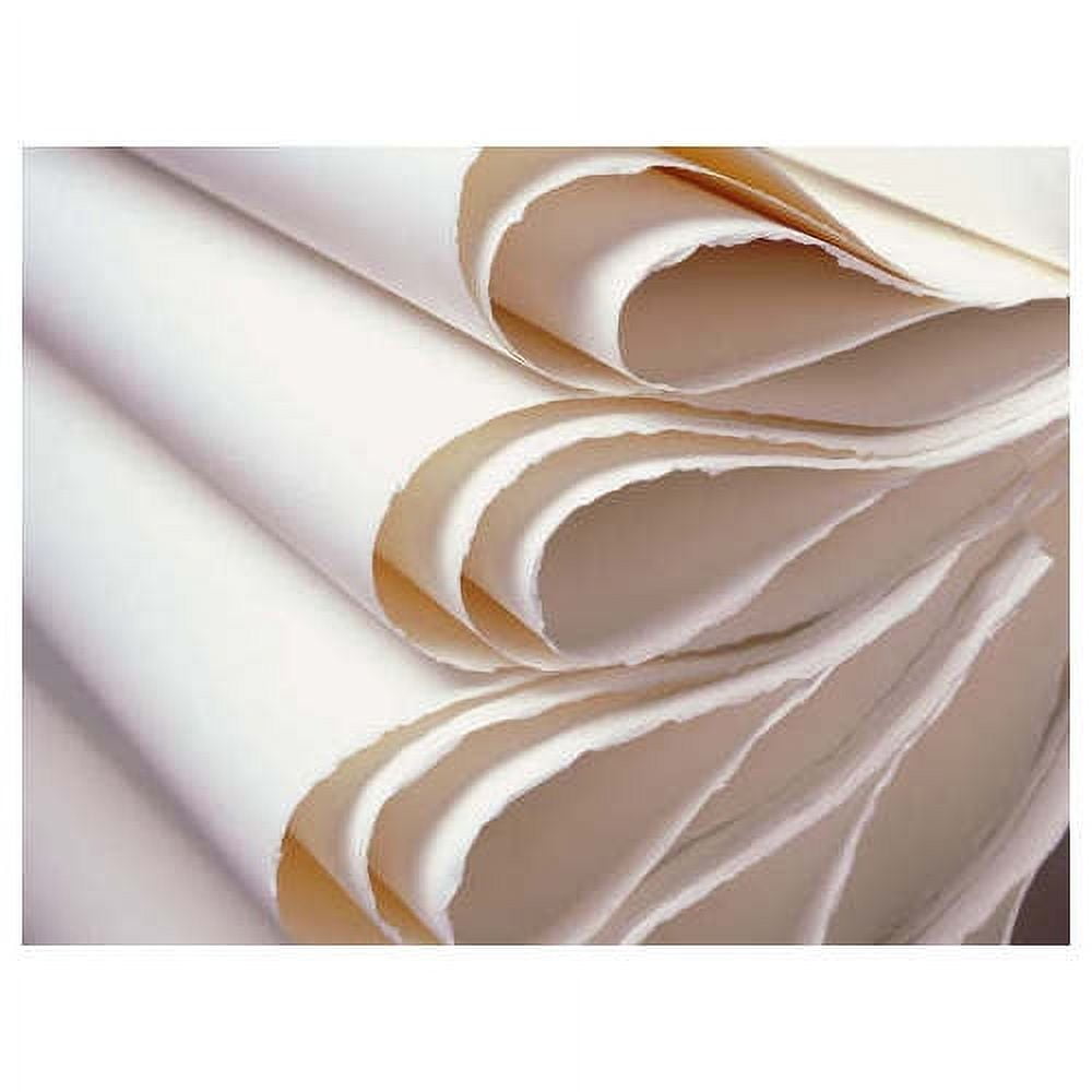 Fabriano Studio Watercolour Paper CP 300 GSM 22X30(Pack of 10 Sheets) :  : Home & Kitchen