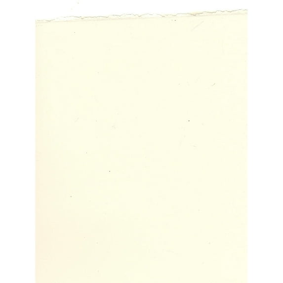 Fabriano Artistico Watercolor Paper Traditional White 140 Lb. Hot Press Each (71-31230079) 16916