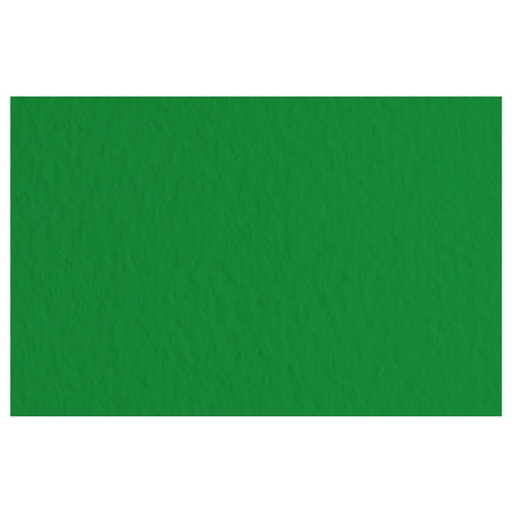 Fabriano Tiziano Drawing Paper, 20 in x 26 in, 98 lb./ 160 gsm, Pack of 10, Billiard Green