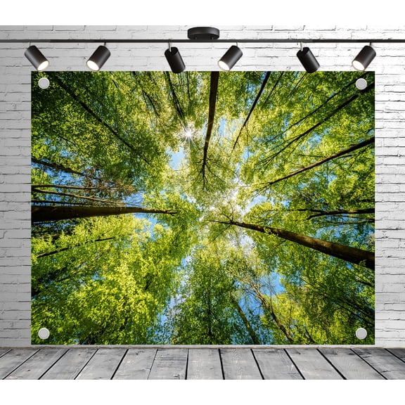 Fabric Forest Canopy & Sunlight Backdrop(Suitable for Home Decoration, Photoshoots, and Nature - Themed Backgrounds)Outdoor Nature Fabric Banner