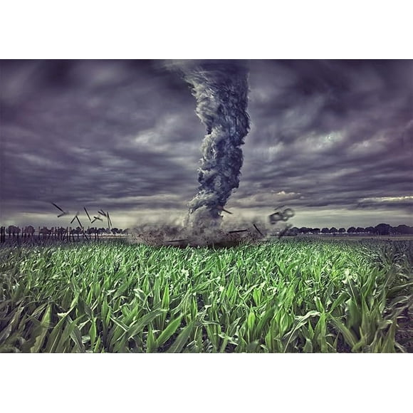 Fabric Green Cornfield Tornado Backdrops for Photography Countryside Farmland Stormy Lightning Tornado Background Backdrop Birthday Party Decorations Portrait Photoshoot Studio Props