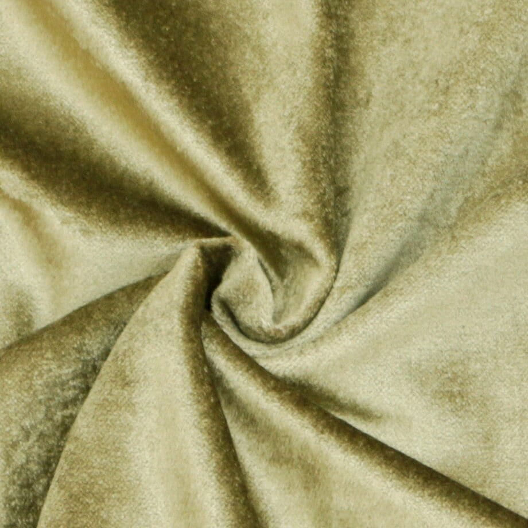 Fabric Mart Direct Sage Green Cotton Velvet Fabric By The Yard, 54 inches  or 137 cm width, 1 Yard Green Velvet Fabric, Upholstery Weight Curtain  Fabric, Wholesale Fabric, Fashion Velvet Fabric 