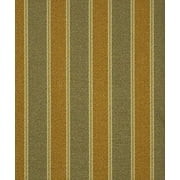 Fabric Robert Allen Beacon Hill Tamora Cognac Juniper Silk Striped Drapery JJ44