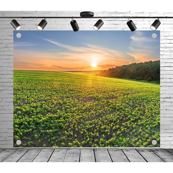Fabric Rural Field Sunset Backdrop(Suitable for Home Decoration, Photoshoots, and Nature - Themed Backgrounds)Outdoor Countryside Fabric Banner