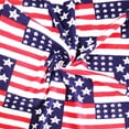 thumbnail image 1 of FabricLA Ultra-Soft Polar Fleece Fabric by The Yard |9" x 60" Wide | Lightweight, Warm & Cozy| Ideal for Throw Blankets, Pillow Covers,PJ Pants| Perfect for DIY Projects | American Flag, 1 of 7