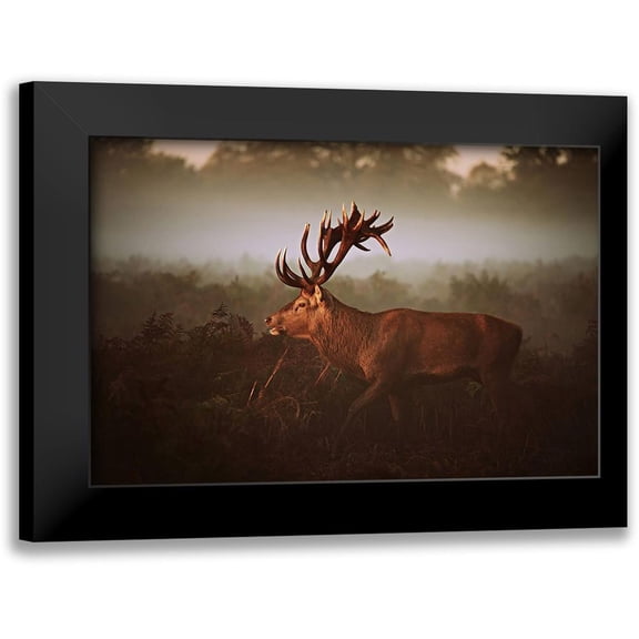 Fabrowski, Robert 14x11 Black Modern Framed Museum Art Print Titled - Lvg