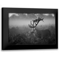 thumbnail image 1 of Fabrowski, Robert 14x11 Black Modern Framed Museum Art Print Titled - Sunny Morning, 1 of 5