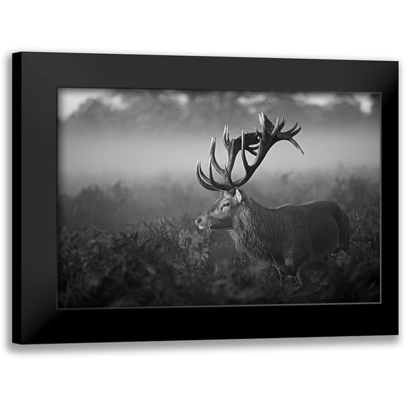 Fabrowski, Robert 14x11 Black Modern Framed Museum Art Print Titled - Sunny Morning