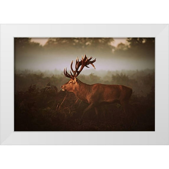 Fabrowski, Robert 14x11 White Modern Wood Framed Museum Art Print Titled - Lvg