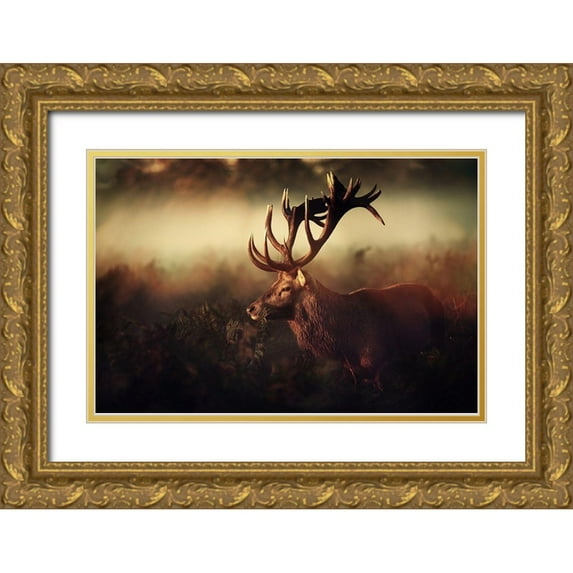 Fabrowski, Robert 32x23 Gold Ornate Wood Framed with Double Matting Museum Art Print Titled - King