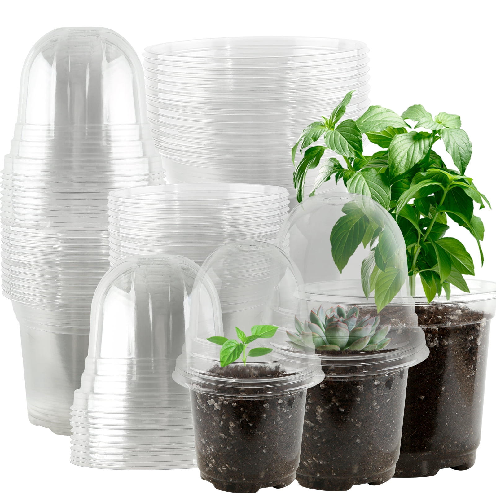 https://i5.walmartimages.com/seo/Fabulas-Plant-Nursery-Pots-Variety-Pack-5-4-3-5-inch-Seedling-Pot-Clear-Plastic-Planting-Pot-36-Sets-24-Humidity-Dome-Seed-Starter-Flower-Planter-Gar_42dfe1aa-0b06-4fdf-a45e-c599c0b54e4f.604320e43aecfff8df33ae9d2c3a8eaa.jpeg