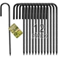 thumbnail image 1 of Fabulas Rebar Stakes 12 Inch, 12 Pack Rebar Stakes Heavy Duty Ground Anchors J Hook with Chisel Point End Galvanized Steel Anchors for Fence Landscape Trampoline Chain Link Garden Camping Tent Plants, 1 of 7
