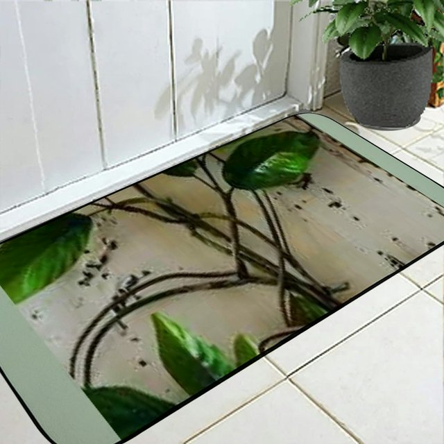 Facannap Dragonfly Plant NonSlip Durable Square Door Mat for Home