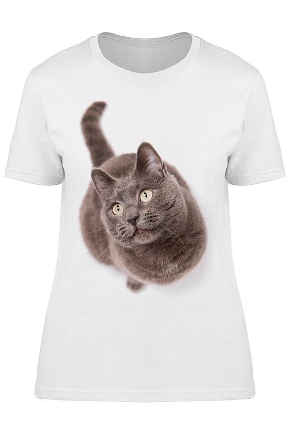 Face Close-Up Grey Cat Beauty T-Shirt Women -Image by Shutterstock, Female x-Large