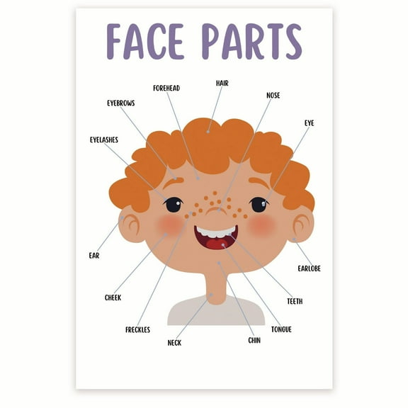 Face Parts for Kids Poster - Face Anatomy - Facial Parts Poster - Facial Structure Poster