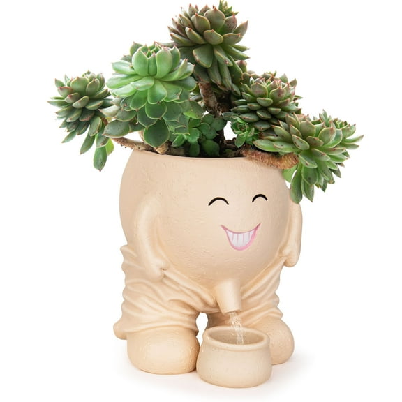 Face Planter Pots Head, Flower Pots Planters for Indoor Outdoor, Funny Plant Pots for Succulent with Drainage Holes Gift Ideas for Mother, Christmas