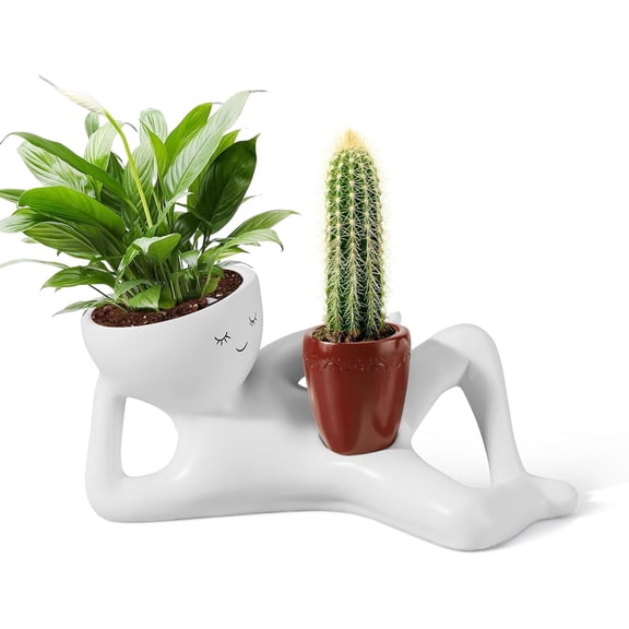 Face Planters Head, Funny Succulent Pots,Goofy Garden Planter