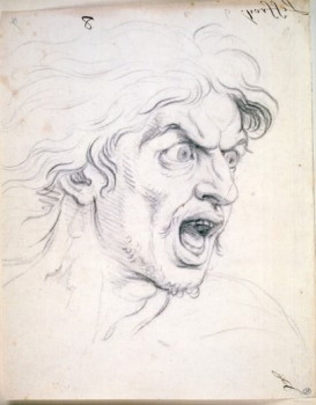 Face of Expression-The Terror by Charles Le Brun (1619-1690) France Paris Musee du Louvre Canvas Art - Charles Le Brun (18 x 24)