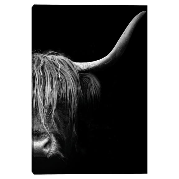 Face to Face by Belle Maison Canvas Art Print