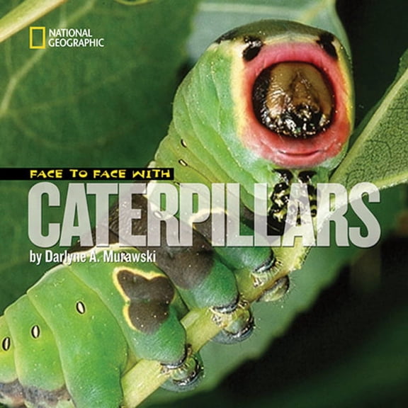 Face to Face with Animals: Face to Face with Caterpillars (Hardcover)