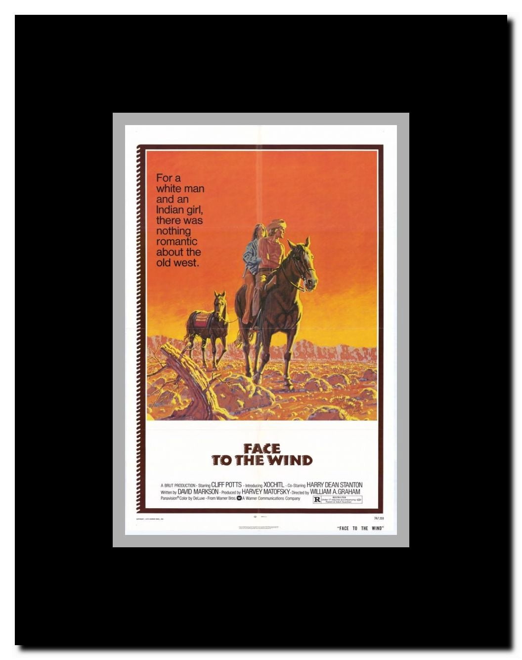 Face to the Wind Framed Movie Poster