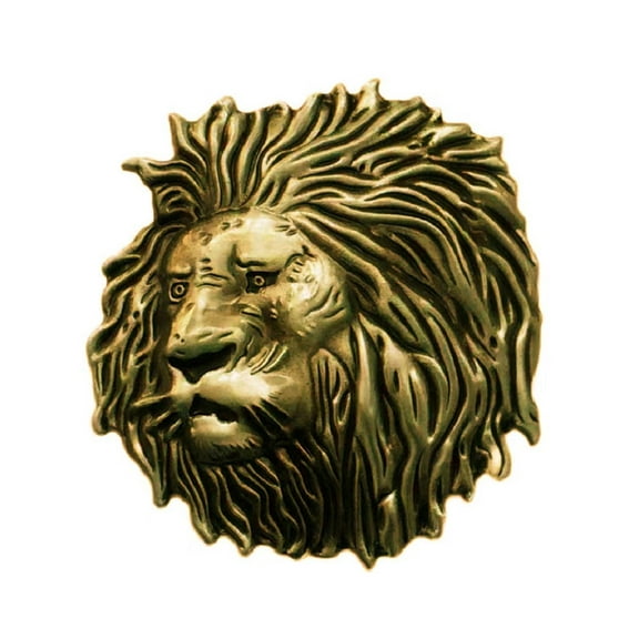 Fachoice Lion Head Belt Buckle for Men Wild Lion Belt Buckle, Cool Lion Head Cowboy Belt Buckle Masculine Lion Animal Belt Buckle