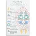thumbnail image 1 of Facial Lymphatic Drainage Massage Posters, Canvas Art Prints,Unframed, Modern Style, Living Room & Bedroom Decor, 1 of 4