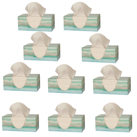 Facial Tissues with Soothing Lotion, Family Size Boxes, Multi-Room Use ...
