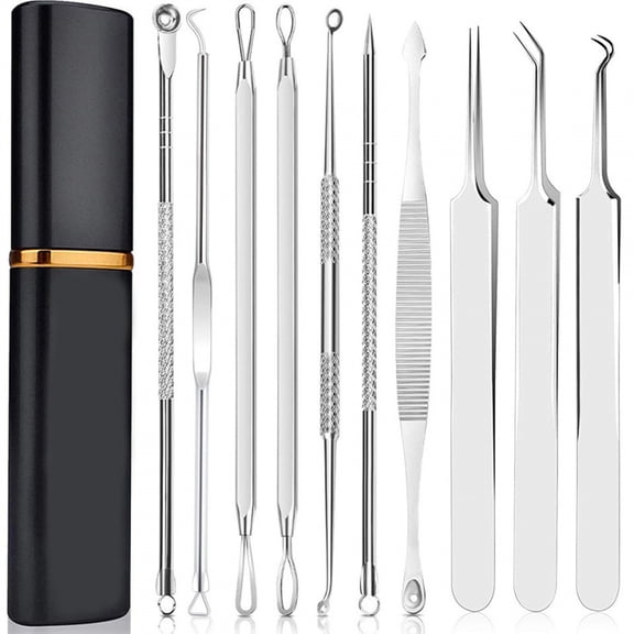 Facial Tool Kit 10 Pcs Beauty Tool Set with Metal Case, Stainless Steel Comedone Extractor, Pore Cleaning Tools for Face and Nose (All Silver)