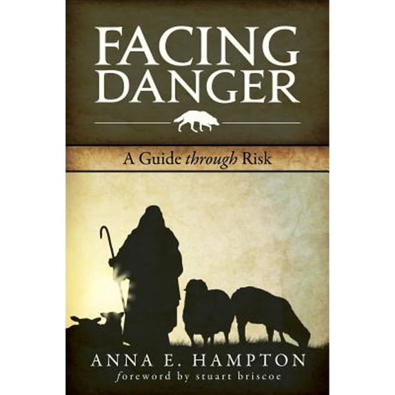Pre-Owned Facing Danger: A Guide Through Risk (Paperback) 0998054402 9780998054407