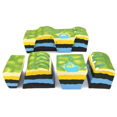 Fact & Fault Model - Geology Tectonics Study Model - Eisco Labs