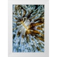 thumbnail image 1 of Factor, Beverly 11x14 White Modern Wood Framed Museum Art Print Titled - Interlude - Papua New Guinea, 1 of 4