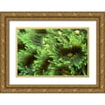 thumbnail image 1 of Factor, Beverly 14x11 Gold Ornate Wood Framed with Double Matting Museum Art Print Titled - Tender Moment - Indonesia, 1 of 4