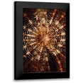 thumbnail image 1 of Factor, Beverly 17x24 Black Modern Framed Museum Art Print Titled - Swirl - Solomon Islands, 1 of 5