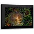 thumbnail image 1 of Factor, Beverly 24x17 Black Modern Framed Museum Art Print Titled - Enchanting - Indonesia, 1 of 5