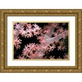 thumbnail image 1 of Factor, Beverly 24x17 Gold Ornate Wood Framed with Double Matting Museum Art Print Titled - Delicately Pink - Vatu Passage, Fiji, 1 of 4