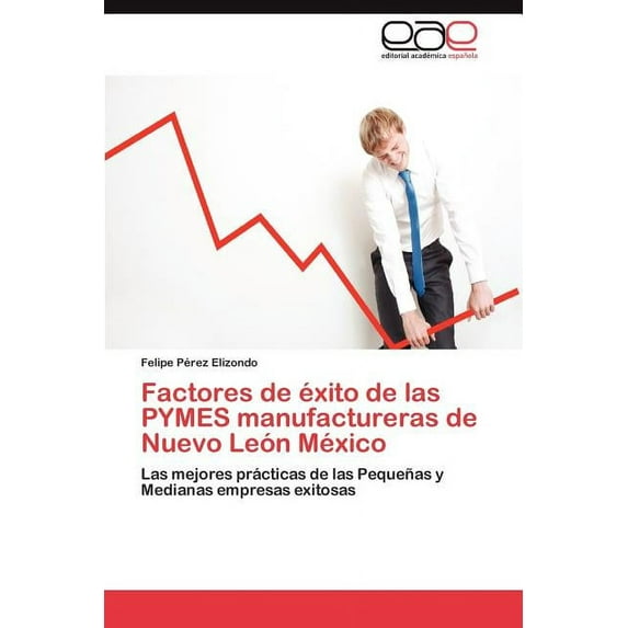 Factores de Exito de Las Pymes Manufactureras de Nuevo Leon Mexico (Paperback)