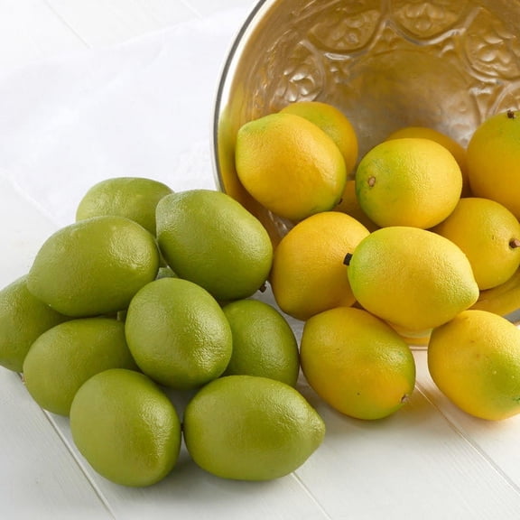 Factory Direct Craft Artificial Foam Lemons and Limes (24 Count)