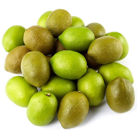 Factory Direct Craft Mixture of Artificial Limes | Package of 24 Pieces