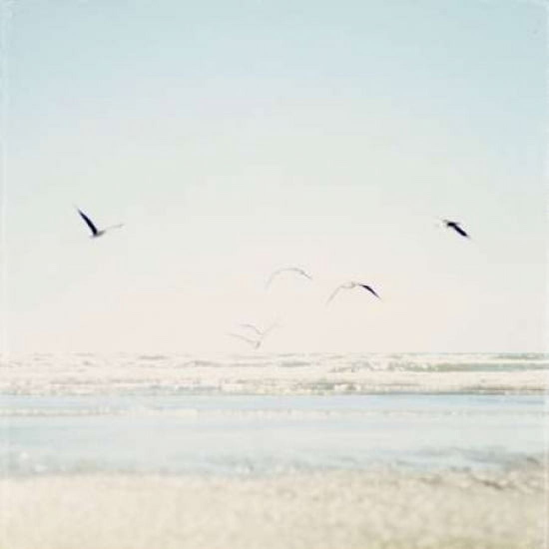 Faded Flight Canvas Art - Susannah Tucker Photography (24 x 24)