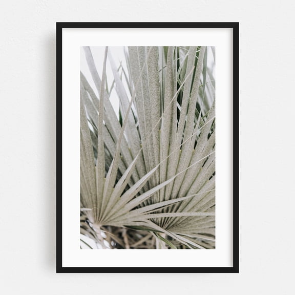 Faded Palms - Visalia California Photography Palm Tree Tropical Nature Botanical Minimalist Abstract Coastal Black Framed Wall Art Print 16 x 24 inches