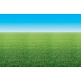 thumbnail image 1 of Fadeless, PAC56928, Bulletin Board Art Paper, 1 Roll, 1 of 2