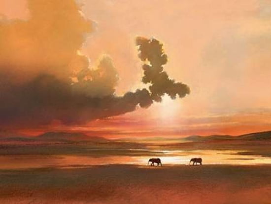 Fading Light Canvas Art - Jonathan Sanders (18 x 24)