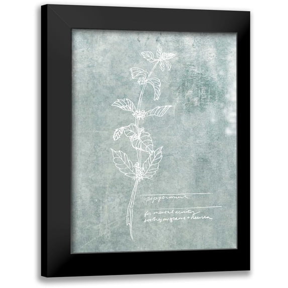 Fagalde, Jarman 19x24 Black Modern Framed Museum Art Print Titled - Essential Botanicals III