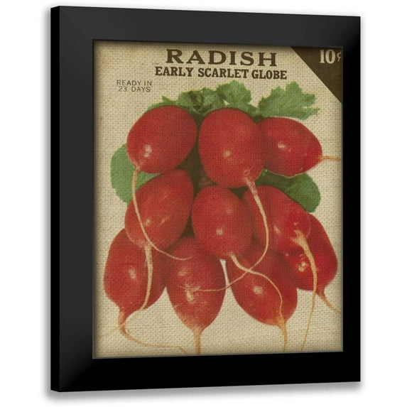Fagalde, Jarman 20x24 Black Modern Framed Museum Art Print Titled - Heirloom Variety I