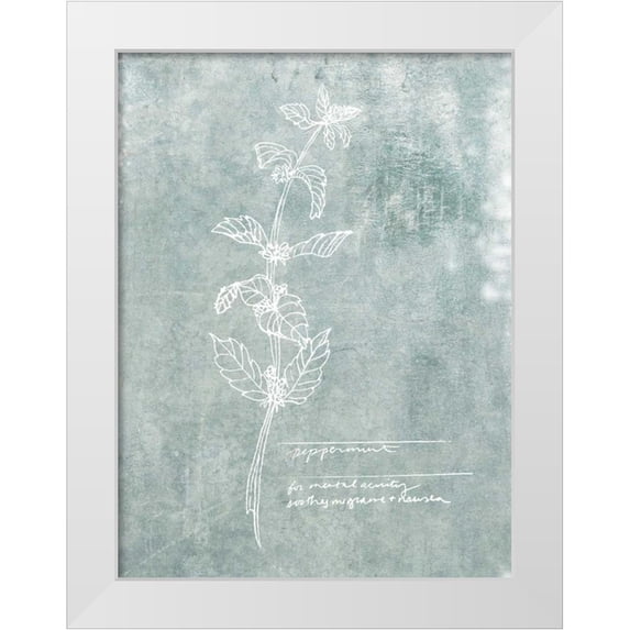 Fagalde, Jarman 25x32 White Modern Wood Framed Museum Art Print Titled - Essential Botanicals III