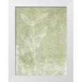 thumbnail image 1 of Fagalde, Jarman 25x32 White Modern Wood Framed Museum Art Print Titled - Essential Botanicals IV, 1 of 4